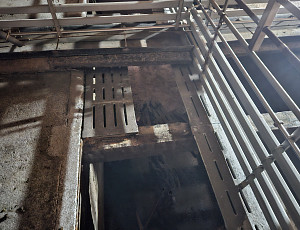 Rekonstrukce haly chovu prasat